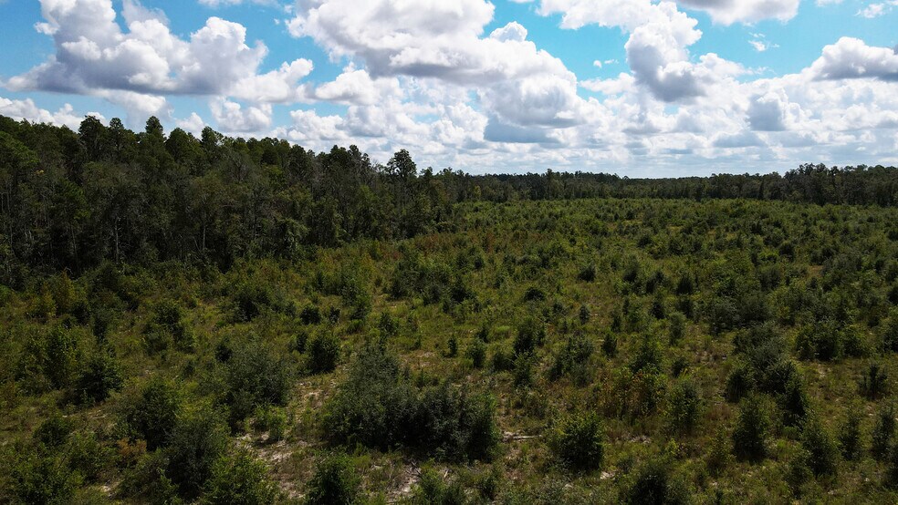 More Photos Of TBD NE 36th Drive Dr, Jasper Land For Sale