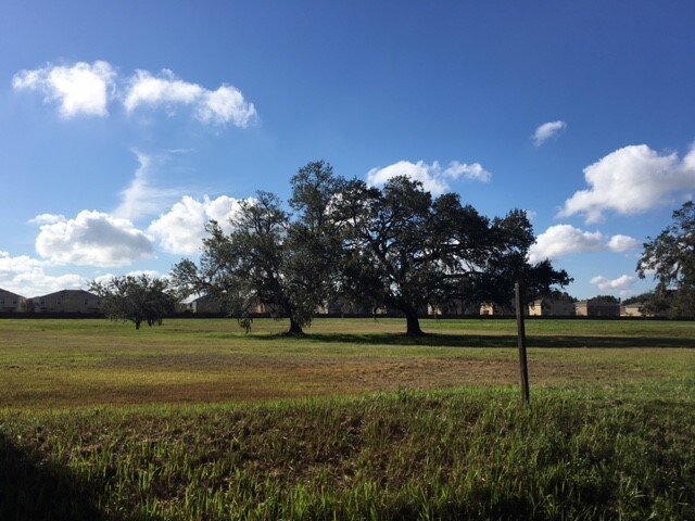 More Photos Of 15400 W Colonial Dr, Winter Garden Land For Sale