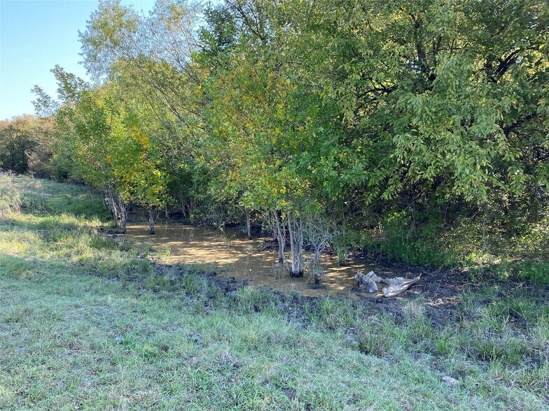 More Photos Of 0 St Hwy 198 hwy, Mabank Land For Sale