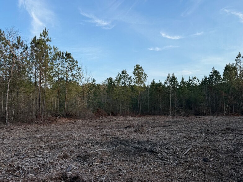 More Photos Of 319 - 547 Sisters Ferry Road, Ridgeland Land For Sale