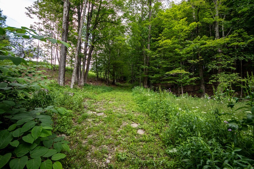 More Photos Of 345 Dorr Edson Rd, Oneonta Apartments For Sale