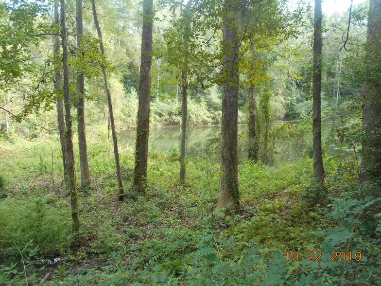 More Photos Of 282 Tuckasee King Rd, Clyo Land For Sale