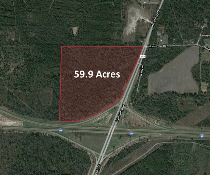 Primary Photo Of 000 Blueberry Dr, Sneads Land For Sale