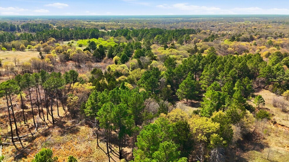 More Photos Of 2548 County Road 2690, Alvord Land For Sale