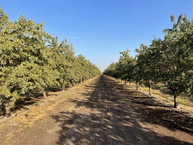 More Photos Of N/E Corner Avenue 228 & Road 56, Tulare Land For Sale