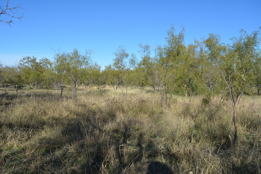 More Photos Of CR 1329, Paint Rock Land For Sale