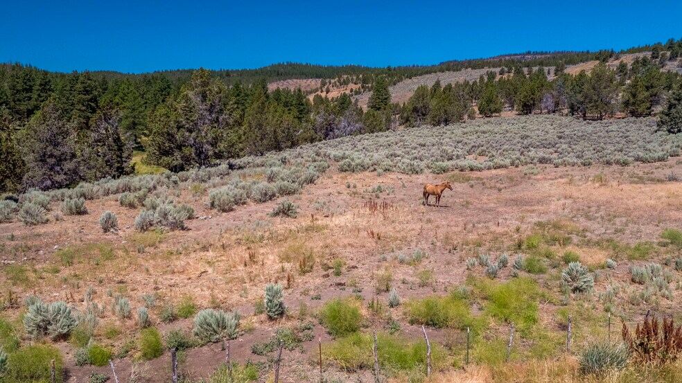 More Photos Of 32611 Tackman Rd, Prineville Land For Sale