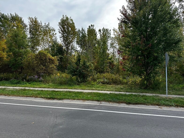 Primary Photo Of 0 Janes, Rochester Land For Sale