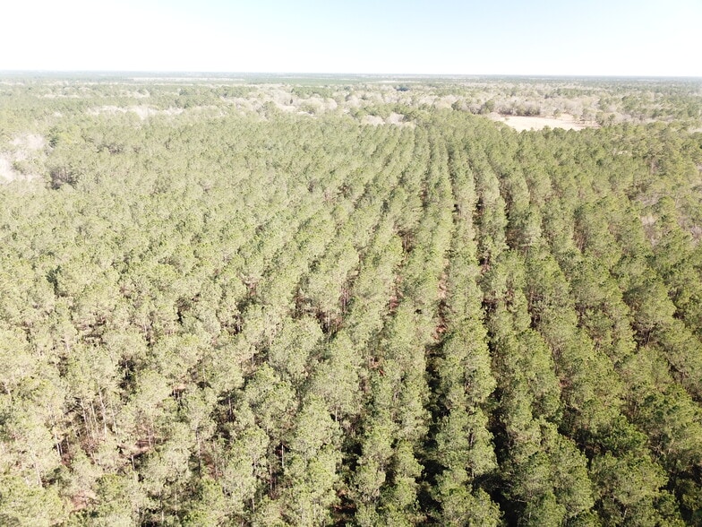 More Photos Of Corrigan Road, Vidor Land For Sale