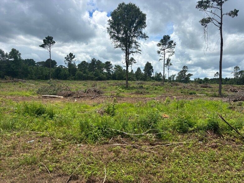 More Photos Of TBD CR 3665 Queen City Texas 20 Acres, Queen City Land For Sale