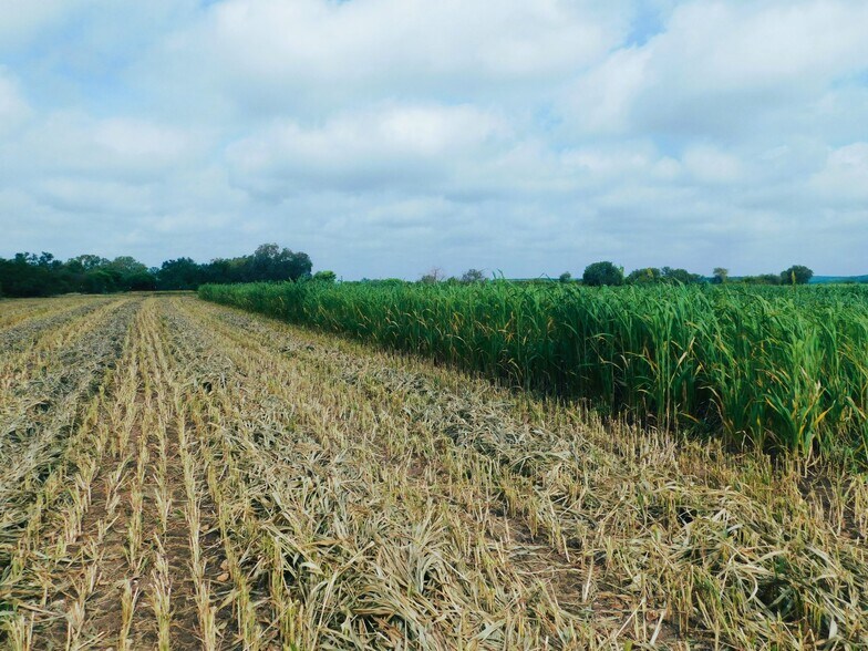 More Photos Of 10566 Texas Highway 127, Sabinal Land For Sale