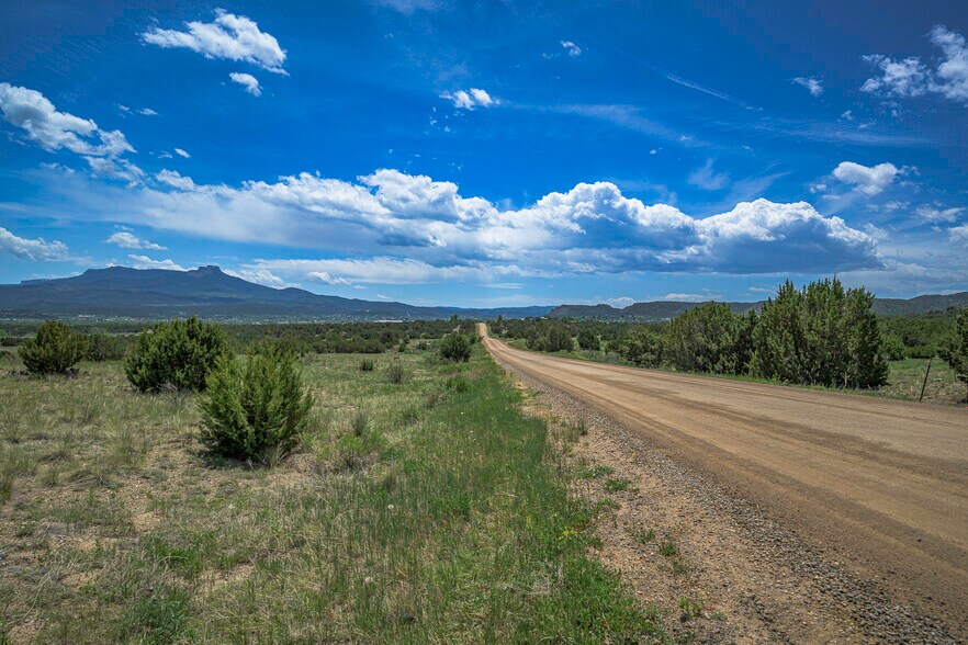 More Photos Of TBD County Road 71.1, Trinidad Land For Sale