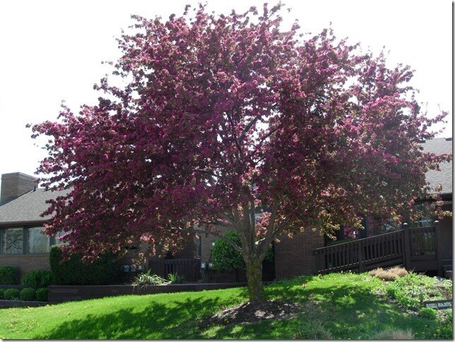 More Photos Of 4125 Okemos Rd, Okemos Office For Sale