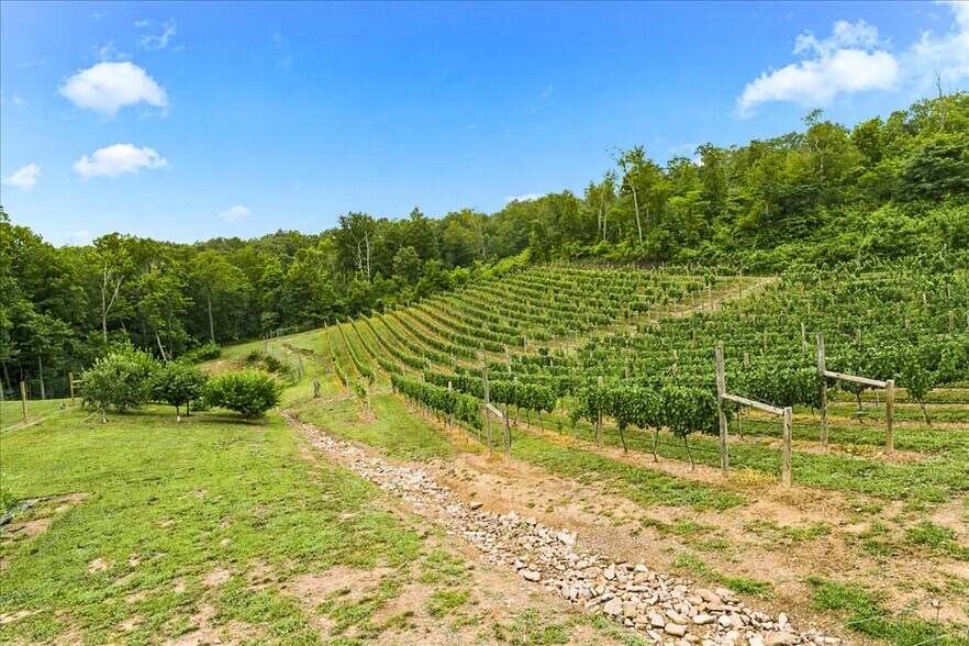 More Photos Of 1309 Redland Rd, Cross Junction Winery Vineyard For Sale