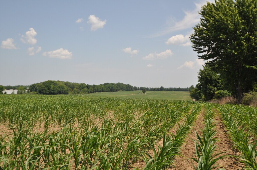More Photos Of 3860 E River Rd, West Henrietta Land For Sale