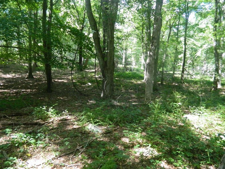 More Photos Of 184 Shore Rd, Old Lyme Land For Sale
