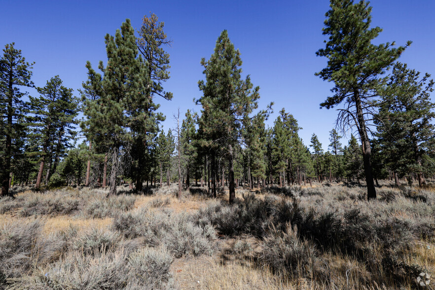 Primary Photo Of 660 California 38, Big Bear City Land For Sale