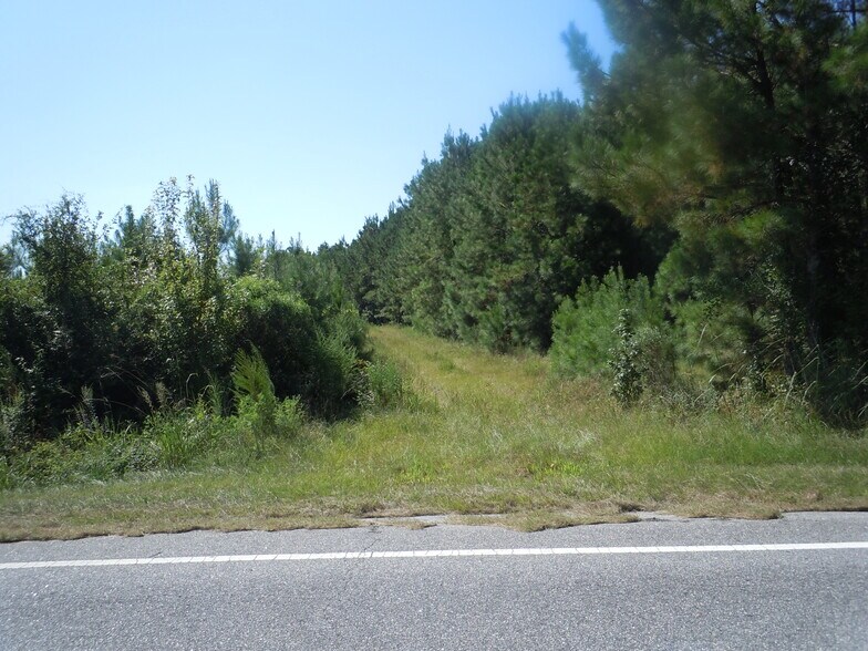 More Photos Of Near 10547 Andrew Jackson Highway SW Rd, Fair Bluff Land For Sale