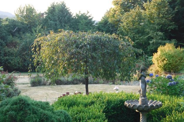 More Photos Of 6605 Sooke Rd, Sooke Land For Sale