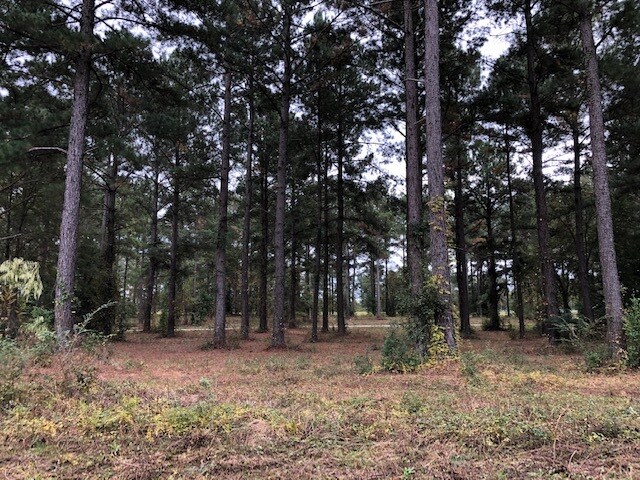 More Photos Of Wood Oak Cir, Cochran Land For Sale