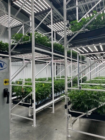 More Photos Of 621 Industrial Park Dr, Constantine Industrial For Sale