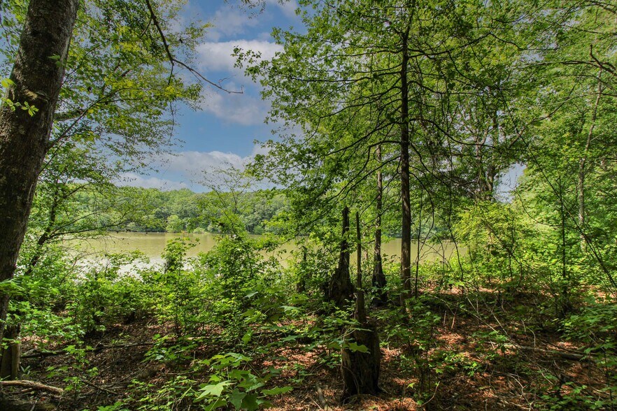 More Photos Of Powell Rd, Statham Land For Sale