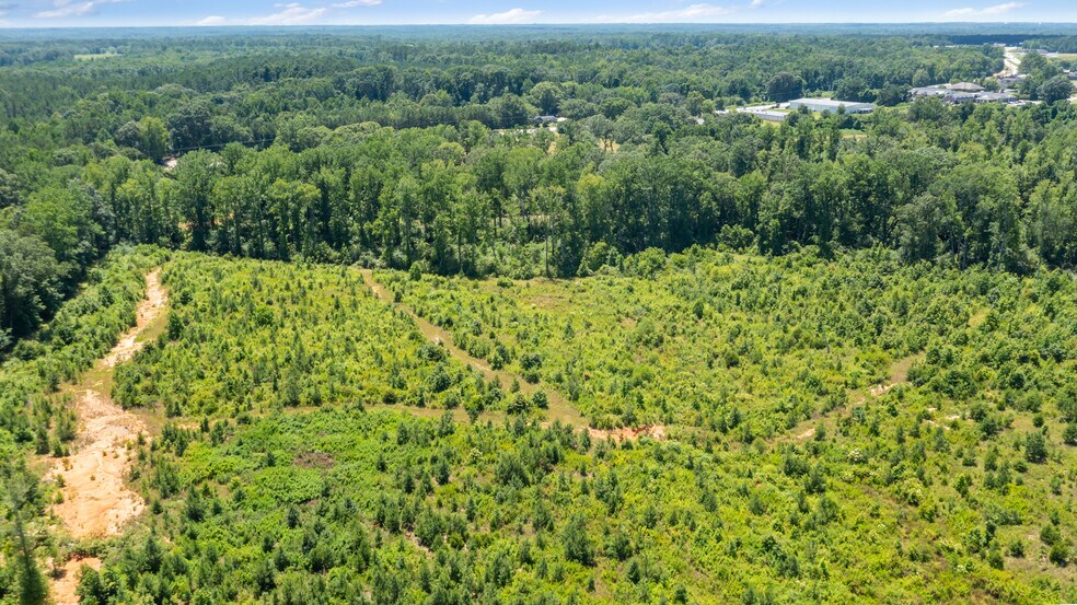More Photos Of 23425 US Highway 76, Clinton Land For Sale