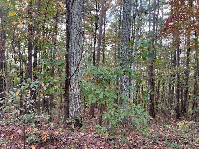 More Photos Of 100 Valley View Farm Rd SW, Cartersville Land For Sale