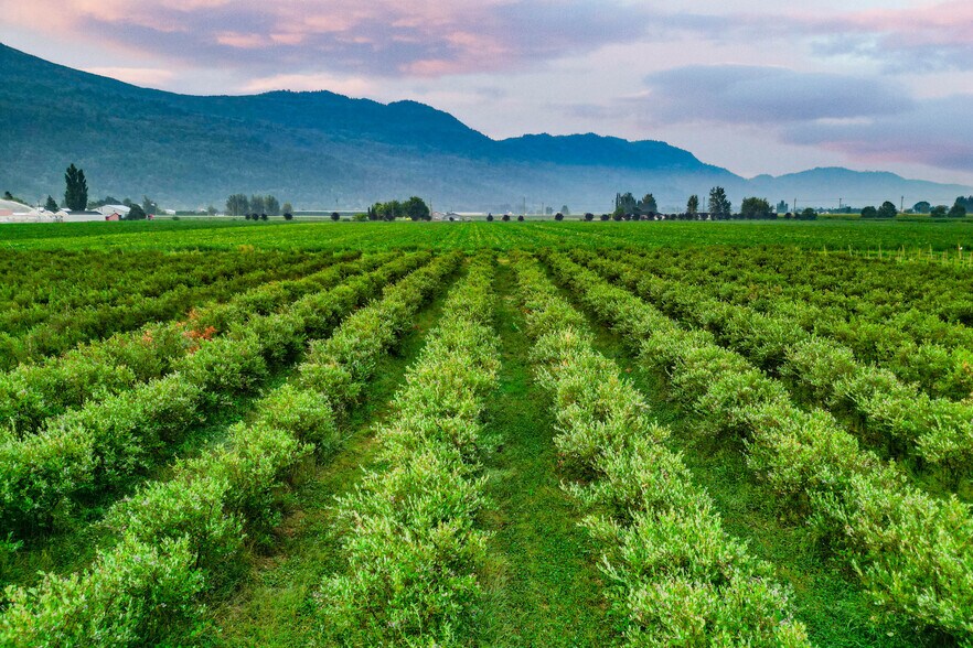 More Photos Of 3387 Tolmie Rd, Abbotsford Land For Sale