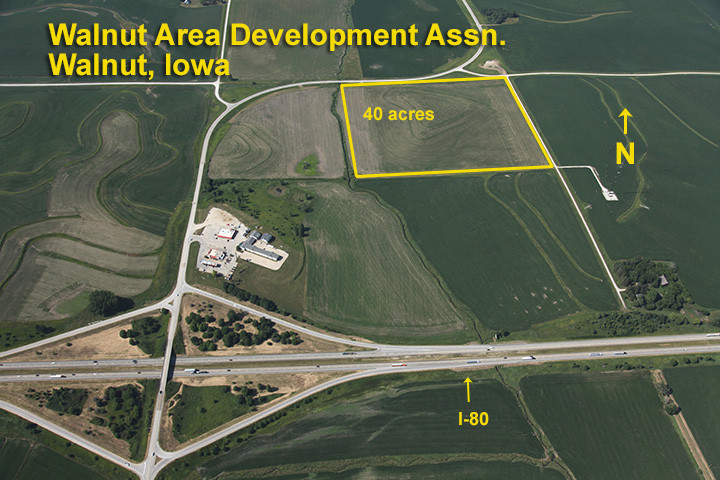 Primary Photo Of North Of I-80, Walnut Land For Sale