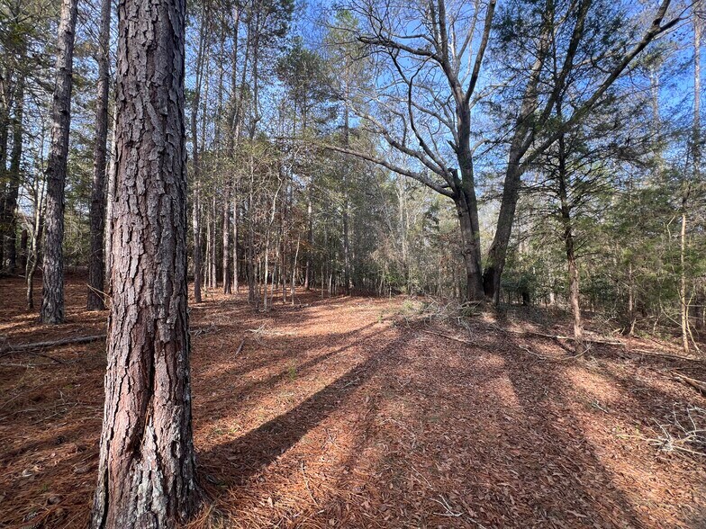 More Photos Of 0 Dickson Dr, Danielsville Land For Sale