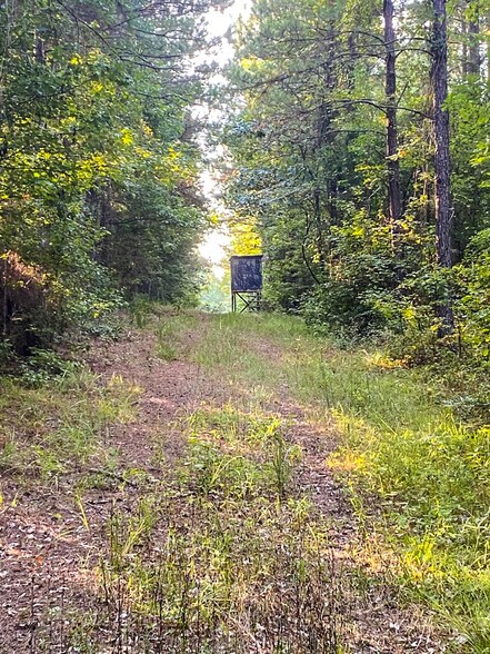 More Photos Of Airline Rd., Dubach Land For Sale