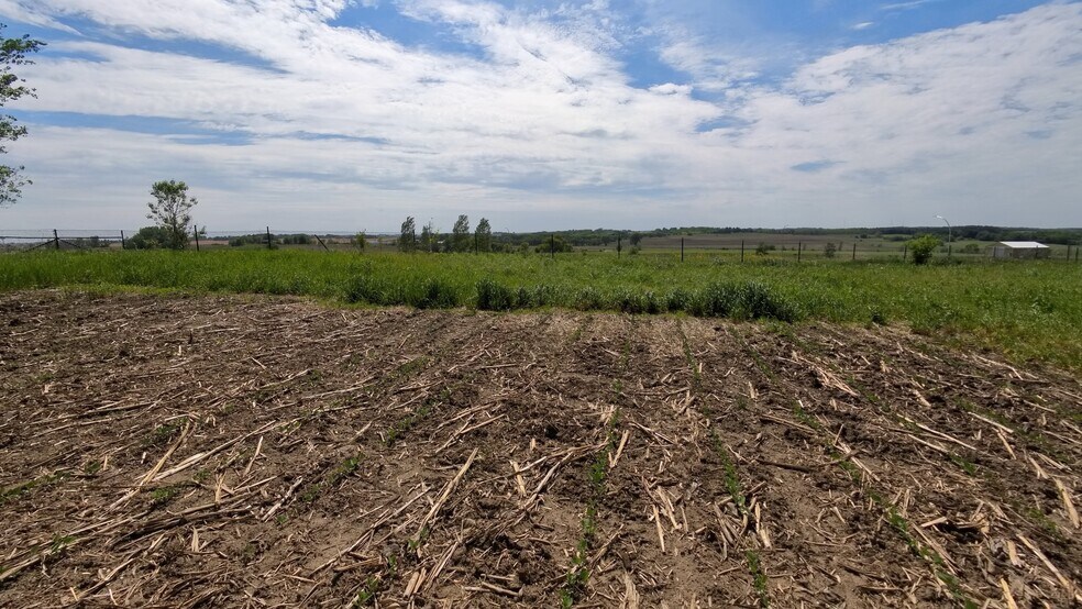 More Photos Of TBD 31st NW Ave @ HWY 52/75th Street NW, Oronoco Land For Sale