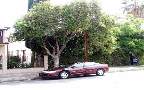 More Photos Of ,  Multifamily For Sale