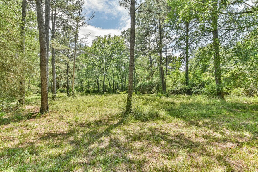 More Photos Of 29059 Sheffield Rd, Hockley Land For Sale