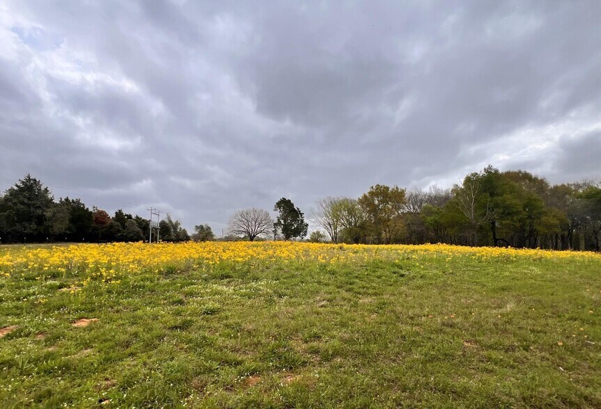 More Photos Of 159 County Road 890, Jewett Land For Sale