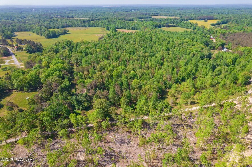 More Photos Of 9402 Brooksie Thompson Rd, Bath Springs Land For Sale