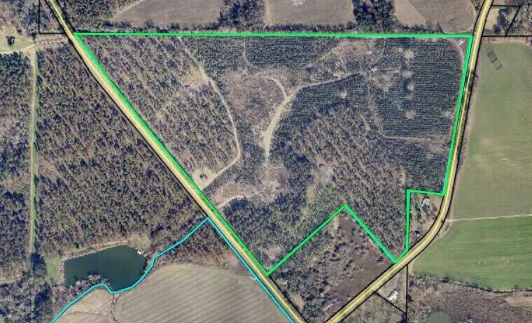 Primary Photo Of 1344 Brady Road, Americus Land For Sale