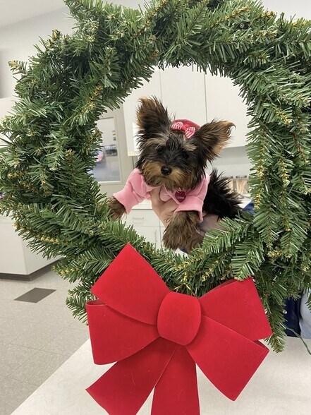 More Photos Of ,  Healthcare For Sale