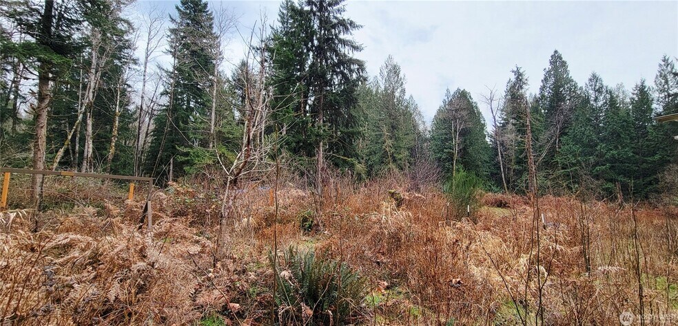 More Photos Of 7836 Delphi Rd SW, Olympia Land For Sale