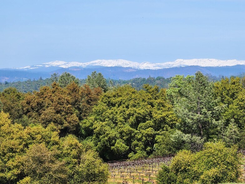 More Photos Of 11777 Shenandoah Road, Plymouth Land For Sale