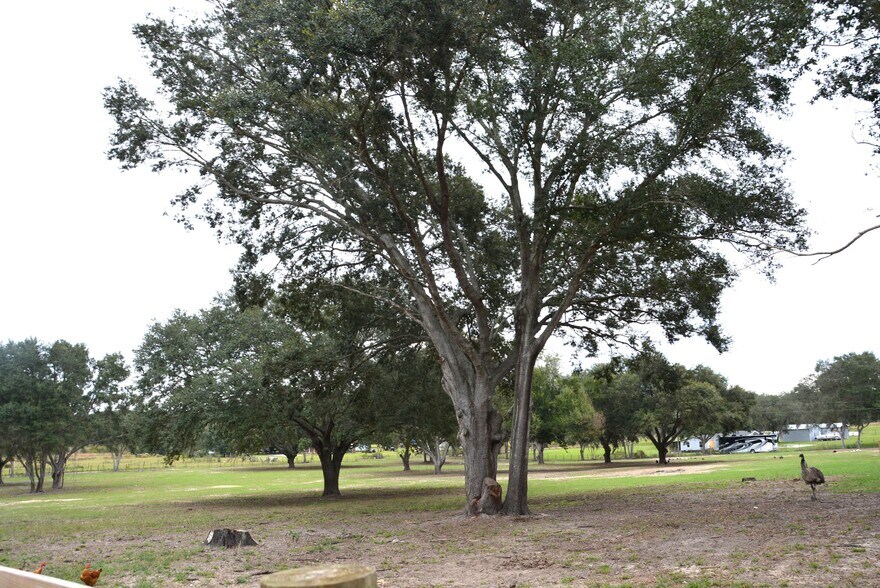 More Photos Of 3816 Lake Brite St, Groveland Land For Sale
