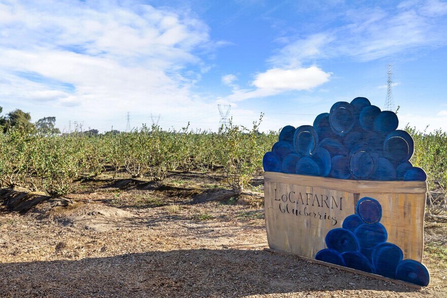 More Photos Of 5288 W Kile Rd, Lodi Land For Sale