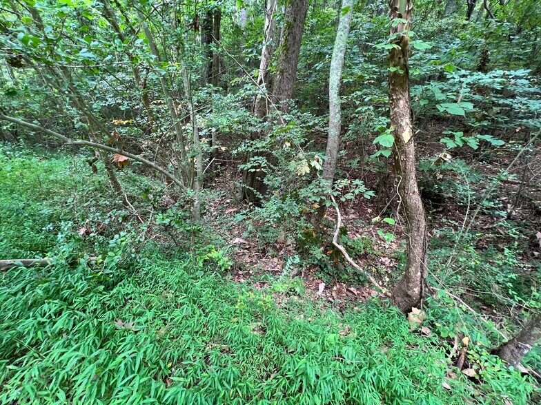 More Photos Of Pinyan, Ranger Land For Sale