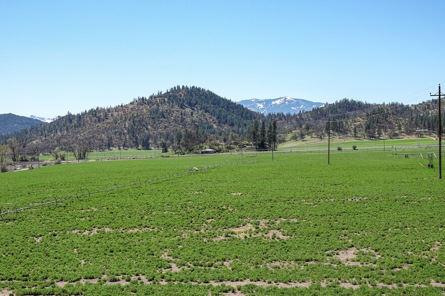 More Photos Of 13317 McAdams Creek Rd, Fort Jones Land For Sale