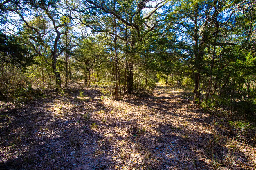 More Photos Of 1984 Highway 71, Columbus Land For Sale