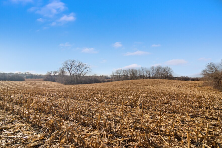 More Photos Of 19925 W Indian Creek Rd, Long Grove Land For Sale