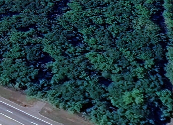 More Photos Of 0 US Highway 80, Bloomingdale Land For Sale