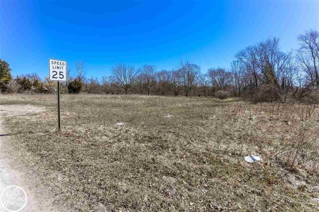 More Photos Of Meadowlawn Dr, Fort Gratiot Township Land For Sale