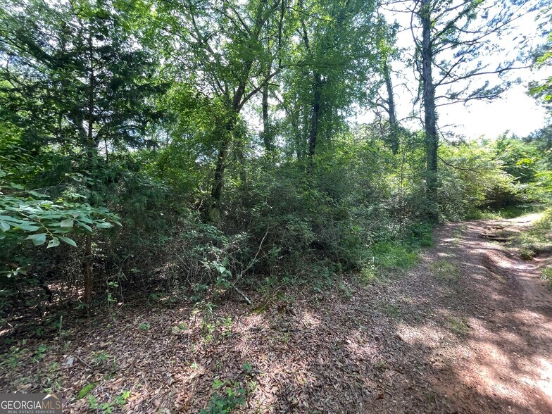 More Photos Of 0 Fallen Branch Circle Southeast, Rome Land For Sale